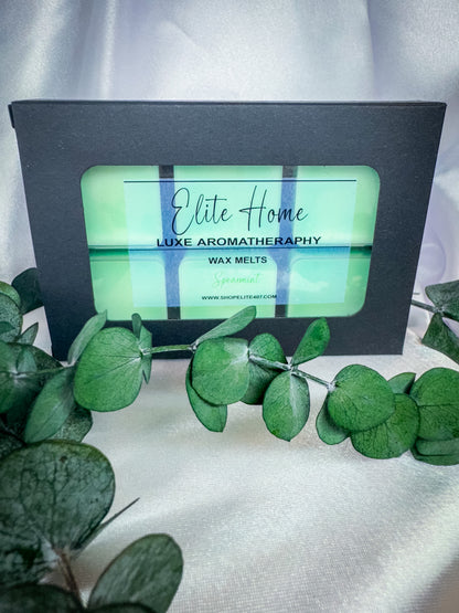 Luxe Aromatherapy Eucalyptus & Spearmint Wax Melts